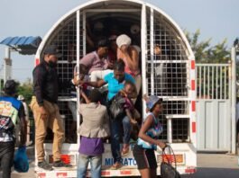 République dominicaine : plus de 525 000 Haïtiens expulsés depuis octobre, selon la DGM