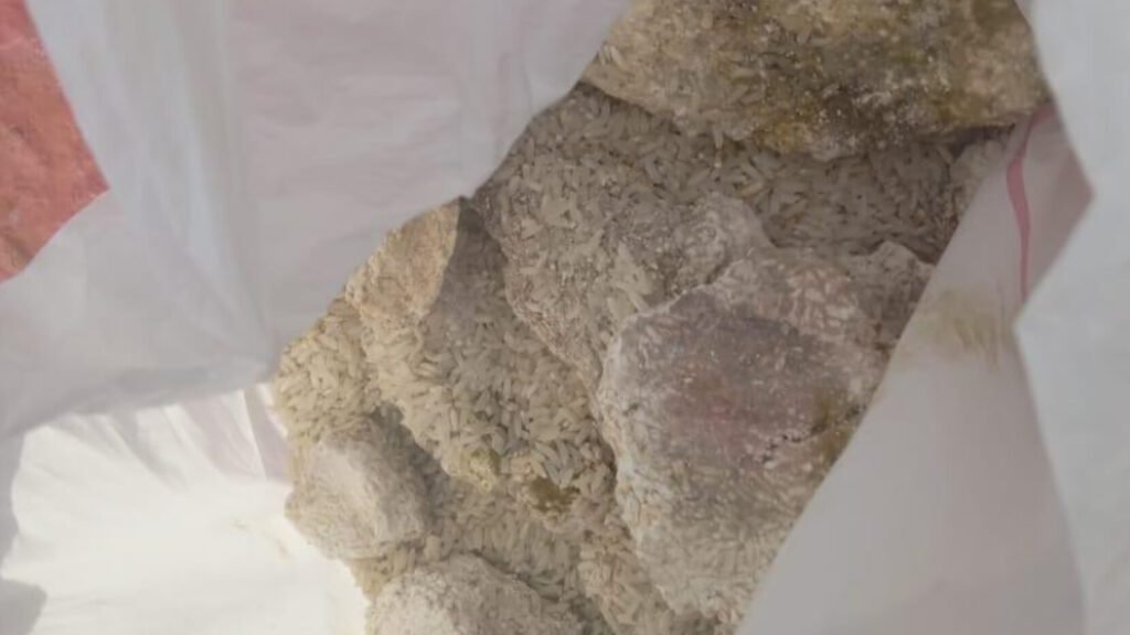 Haïti : polémique autour du débarquement d’une cargaison de riz avarié